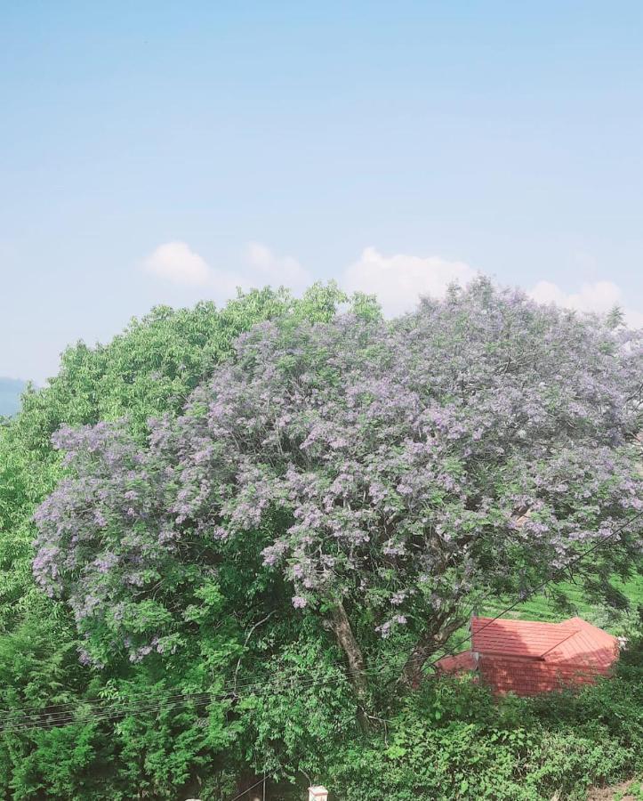 Camellia Heights 1&2 Bed & Breakfast Coonoor Dış mekan fotoğraf