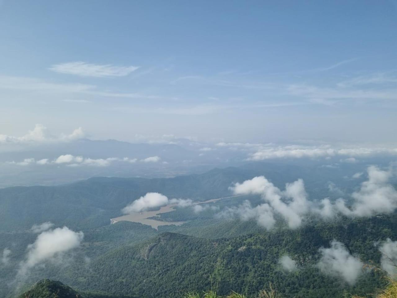 Camellia Heights 1&2 Bed & Breakfast Coonoor Dış mekan fotoğraf