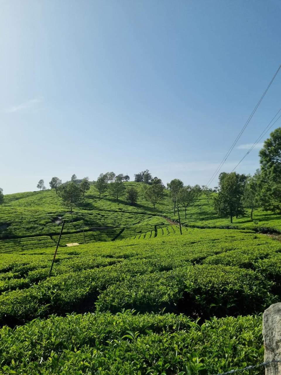 Camellia Heights 1&2 Bed & Breakfast Coonoor Dış mekan fotoğraf